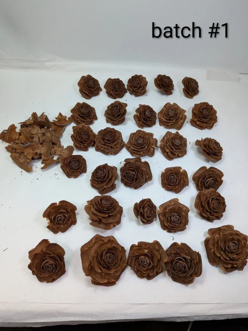 30 Real Cedar Rose Cones Natural Wooden Flowers Crafting & Wreath Supply